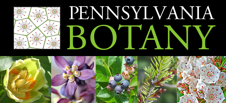 Pennsylvania Botany